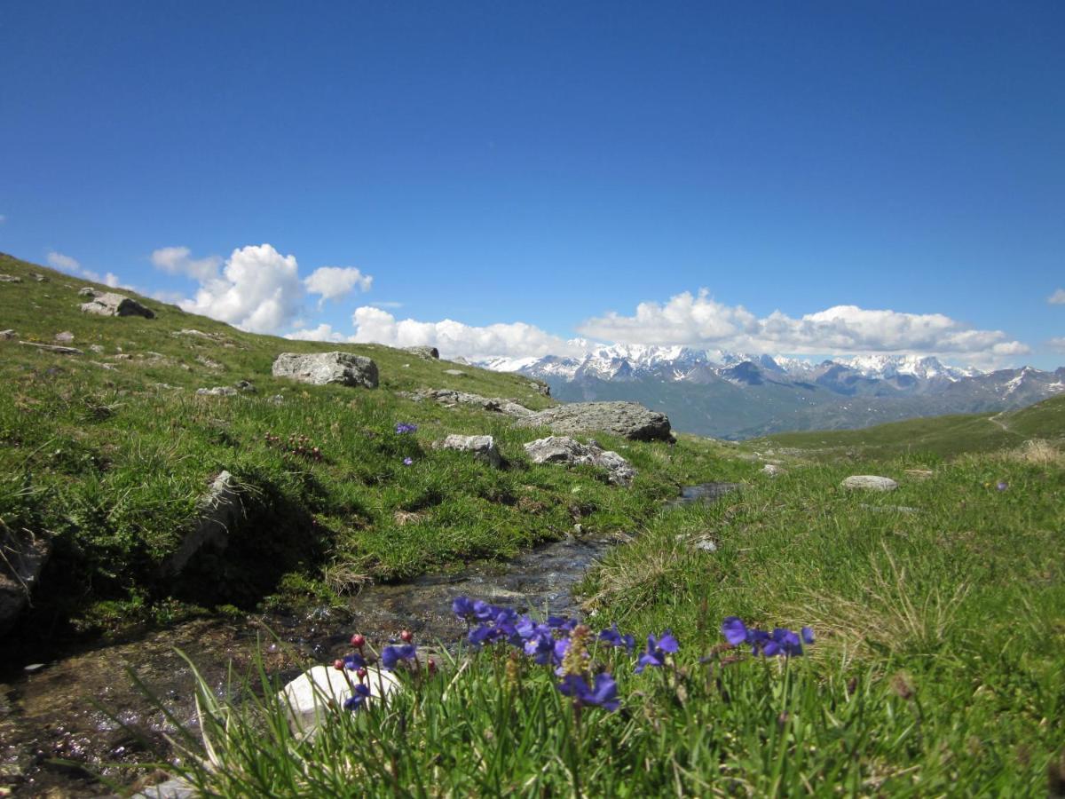 Grande Marmotte, Ski Aux Pieds, Le Refuge Du Montagnard, Arc 1950 Bourg-Saint-Maurice Ngoại thất bức ảnh